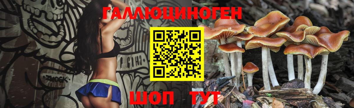 Псилоцибиновые грибы Cubensis  Псилоцибиновые грибы MAGIC MUSHROOMS  Новосибирск  Вход с VPN 